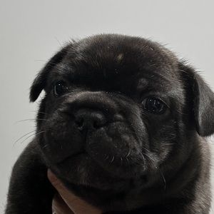 Im open to all offers !